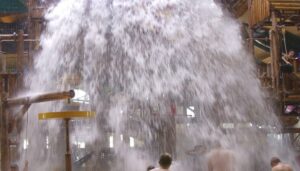 nearly-50-cars-vandalized-at-great-wolf-lodge-on-thanksgiving