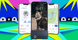get-the-weight-off-your-fat-cat-with-40-percent-off-tractive’s-pet-trackers