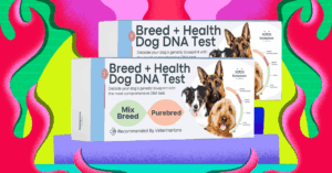 learn-more-about-your-cat-with-an-on-sale-basepaws-pet-dna-test