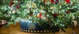 white-house-unveils-dazzling-2025-christmas-theme