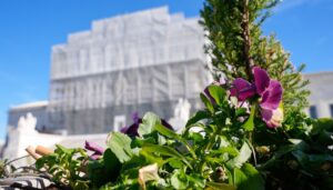 thomas-questions-basis-for-new-jersey-subpoena-of-pregnancy-center-donors