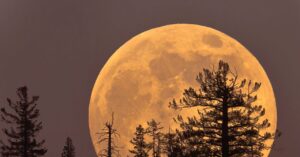 thursday’s-cold-moon-is-the-last-supermoon-of-the-year.-here’s-how-and-when-to-view-it