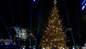 washington-dc-lights-the-national-christmas-tree