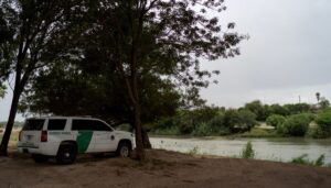 operation-lone-star:-paws-and-hooves-integral-to-border-security