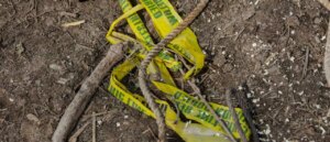 report:-foster-mom-allegedly-locked-mentally-disabled-woman-in-dog-kennel