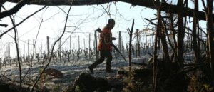 hunter-saves-stranded-couple-after-stumbling-upon-unexpected-scene-in-forest