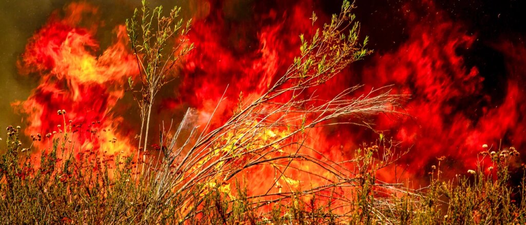 multiple-states-see-evacuations-due-to-wildfires-erupting-from-hurricane-force-winds