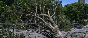 two-children-critically-injured-while-waiting-for-bus-during-powerful-winds