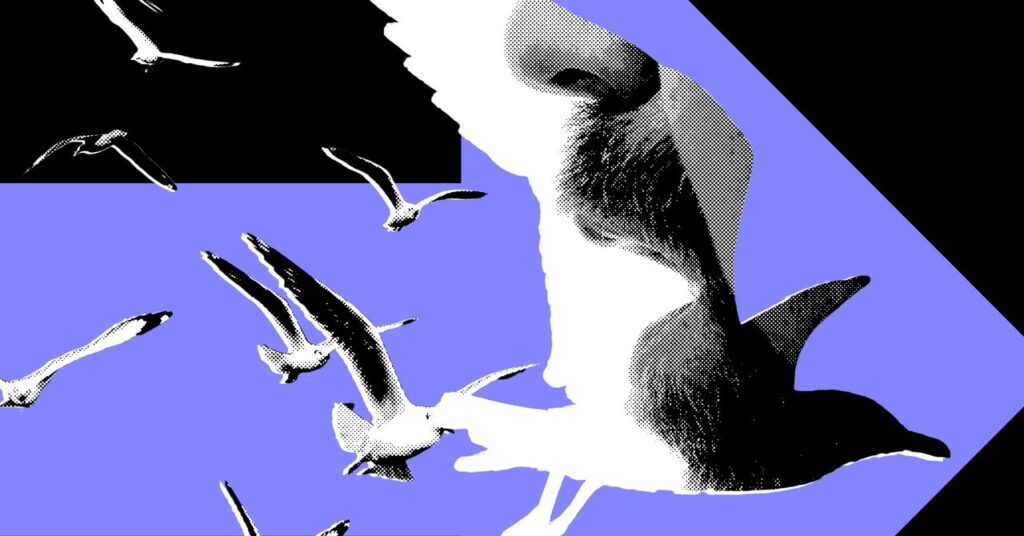 the-most-powerful-politics-influencers-barely-post-about-politics