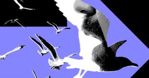 the-most-powerful-politics-influencers-barely-post-about-politics