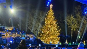 everything-you-need-to-know-about-christmas,-and-how-it-has-evolved-into-a-global-holiday