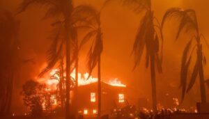 fires,-unrest,-lawsuits,-politics-dominate-southwest-in-2025