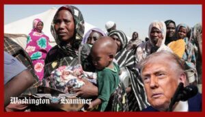 february-social-security-direct-payment-worth-$994-goes-out-in-28-days