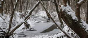 teenager-shot-in-head-while-hunting,-bad-weather-grounds-helicopter-rescue