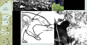 new-records-reveal-the-mess-rfk-jr.-left-when-he-dumped-a-dead-bear-in-central-park