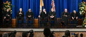 rooke:-three-left-leaning-catholic-cardinals-defy-their-vocation,-launch-attacks-on-us