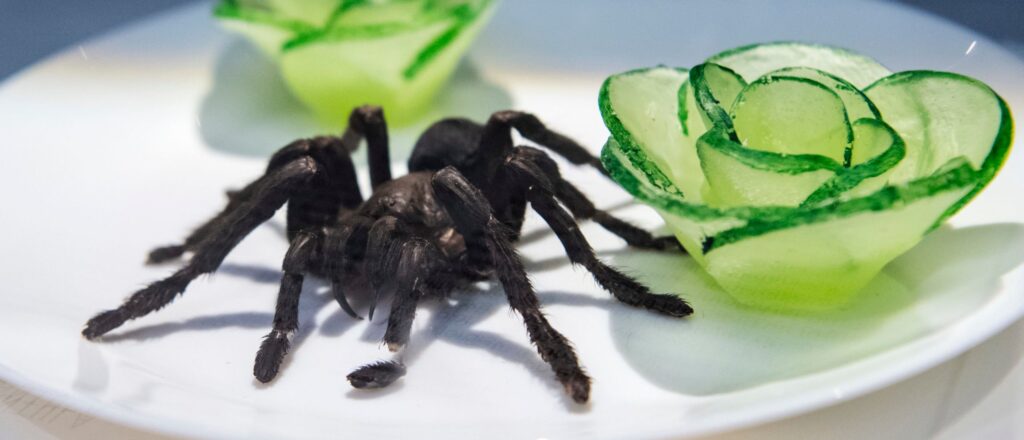 tarantula-causes-traffic-accident-in-death-valley-national-park