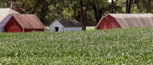 american-institution-older-than-the-lightbulb-just-got-rescued-from-extinction