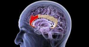 this-chinese-startup-wants-to-build-a-new-brain-computer-interface—no-implant-required