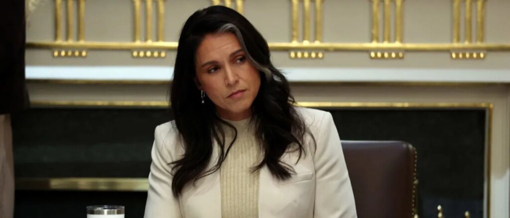 rooke:-senator-falls-flat-on-his-face-with-attack-on-tulsi-gabbard-over-election-raid