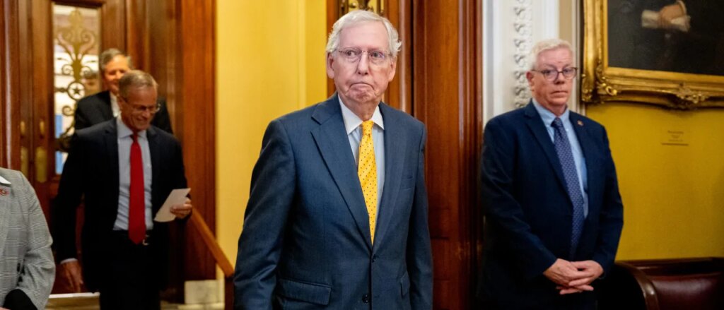 voters-not-won-over-by-any-candidates-in-wide-open-senate-race,-poll-shows