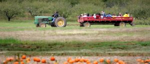 farm-in-rhode-island-shuts-down-its-haunted-hayride-after-teenager-ends-up-in-critical-condition