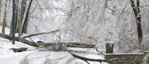 disaster-declarations-for-multiple-us-states-approved-by-president-trump