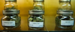 new-york-times-editorial-board-finally-admits-it-was-wrong-about-weed