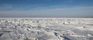 couple-take-dog-on-walk.-woman-dies,-police-search-for-husband