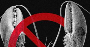 meta-and-other-tech-companies-ban-openclaw-over-cybersecurity-concerns