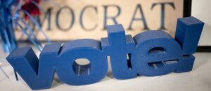 democrat-suggests-she