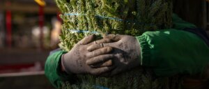 trump-admin-charges-mexicans-in-sweeping-modern-slavery-scheme