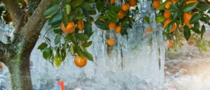 us-state-loses-more-than-$3-billion-due-to-arctic-blasts