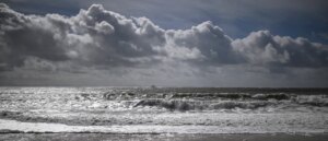 devastating-details-emerge-surrounding-death-of