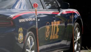 noem-associate-madison-sheahan-bought-2,500-marked-vehicles-for-ice