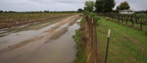 ceo-urges-trump-newsom-alliance-for-california