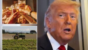 house-lawmakers-ask-trump-not-to-tariff-mexican-beer