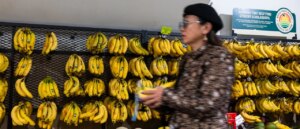 how-the-rich-get-their-kicks:-micro-crimes-against-big-corporations