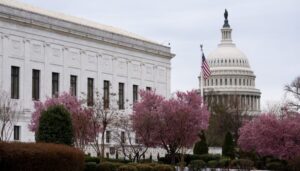 what-to-expect-from-dc-traffic-amid-peak-cherry-blossom-season