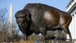 smithsonian-unveils-‘our-shared-future’-programming-for-america-250