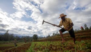 world-faces-severe-food-supply-crisis-if-strait-of-hormuz-blockade-continues