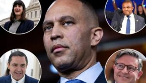 three-house-dems-buck-jeffries-and-back-reopening-dhs-and-ice