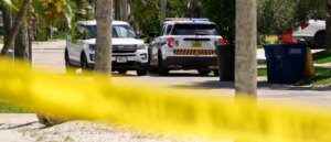 report:-man-stabs-73-year-old-woman-walking-her-dog-50-times,-wrongly-tells-police-she