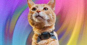 get-peace-of-mind-with-this-gps-and-activity-tracker-for-pets
