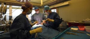 doctor-allegedly-removes-wrong-organ-in-fatal-mistake,-faces-manslaughter-charge
