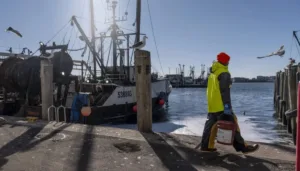 usda-opens-new-office-of-seafood-–-washington-examiner