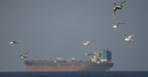 spoofed-tankers-are-flooding-the-strait-of-hormuz.-these-analysts-are-tracking-them