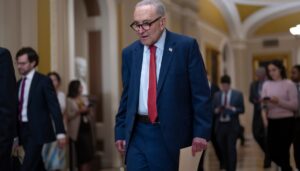 schumer-recruits-outraised-in-2026-primaries