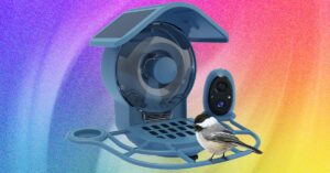 do-you-actually-need-a-smart-bird-feeder-with-a-movable-camera?