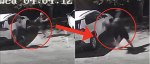 video-shows-former-mma-fighter-javier-baez-taking-down-man-who-allegedly-tried-to-stab-him